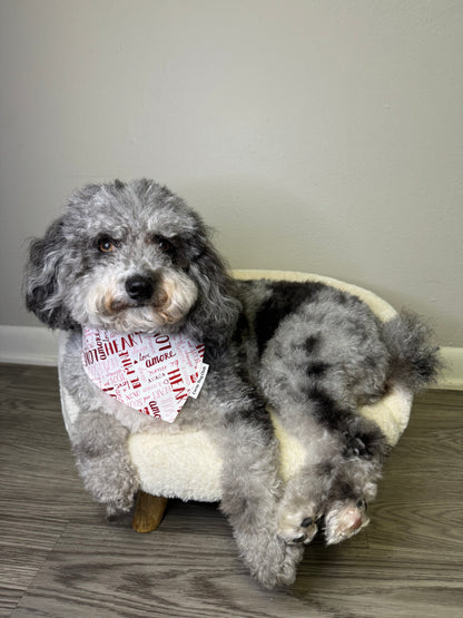 Amour Pooch Custom Bandana