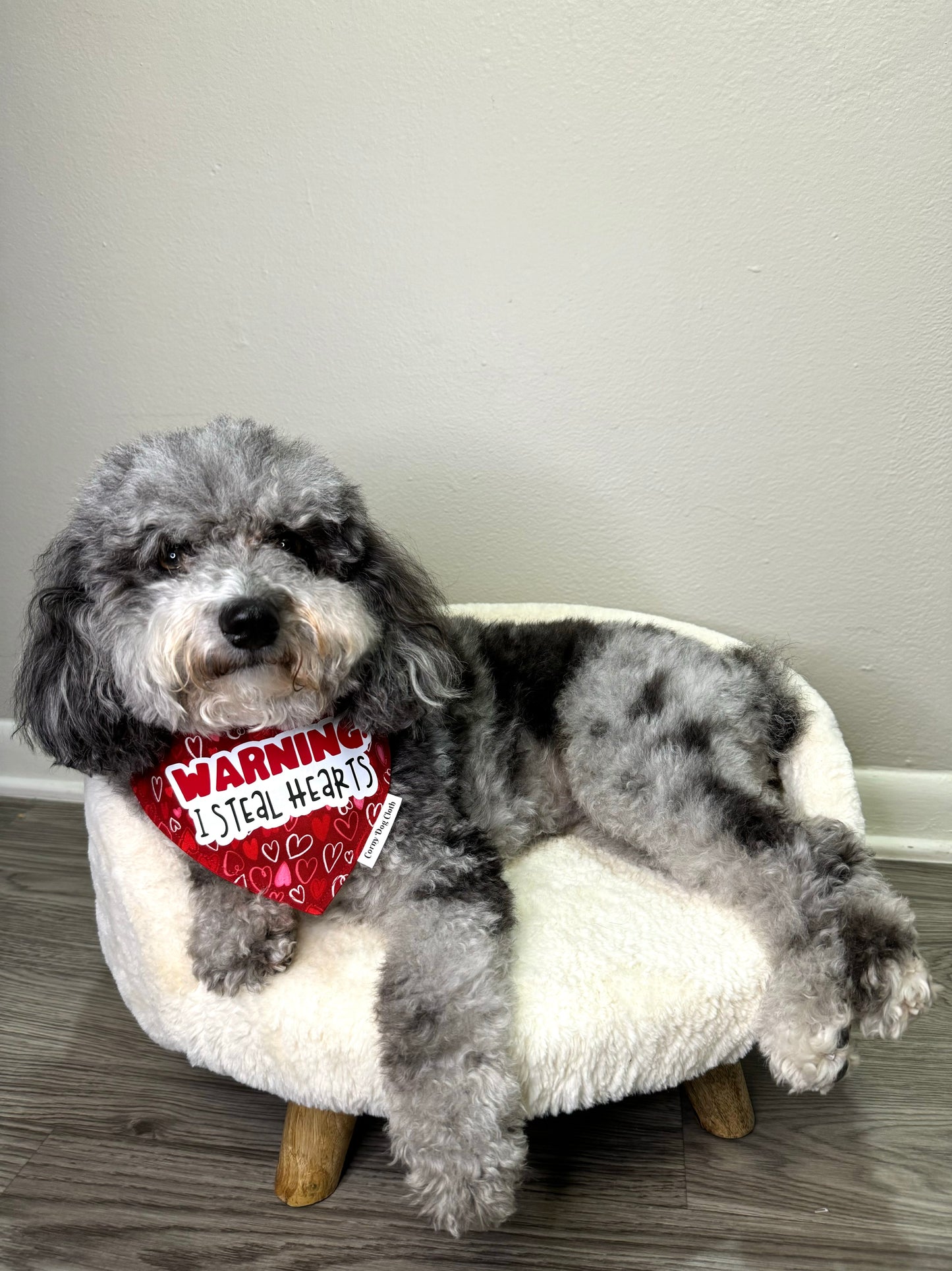 Warning: I Steal Hearts Red Bandana