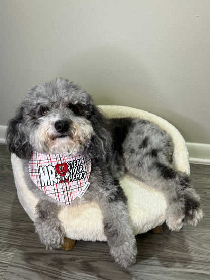 Mr. Steal Your Heart Bandana