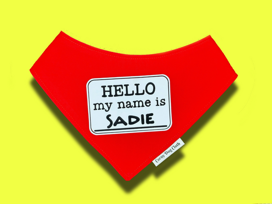 Hello My Name is Personalized Red Bandana