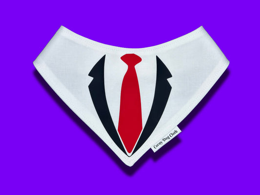 Business Attire Red Tie White Bandana