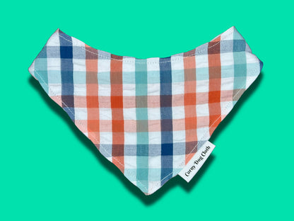 Splash of Colors Bandana