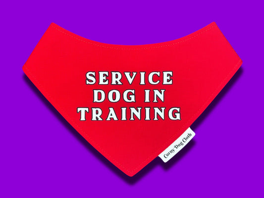Service Dog in Training Red Bandana