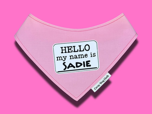 Hello My Name is Personalized Light Pink Bandana