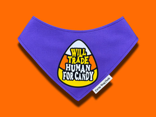 Sweet Tooth Purple Bandana
