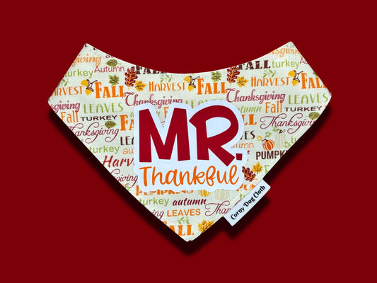 Mr. Thankful Bandana