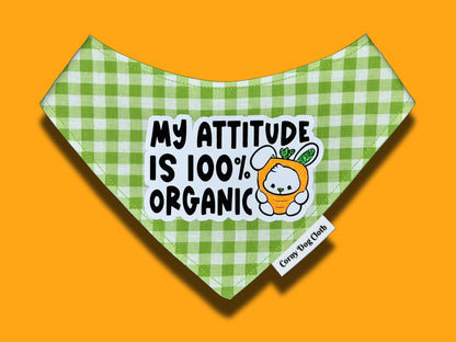 100% Organic Bandana