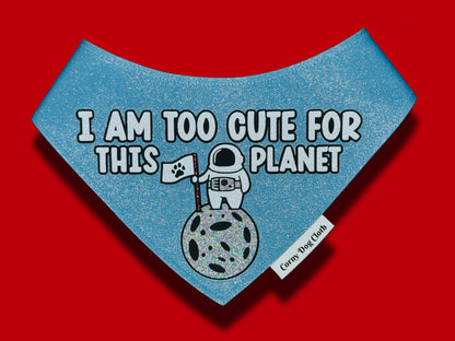 Too Cute for this Planet Slate Blue Glitter Bandana