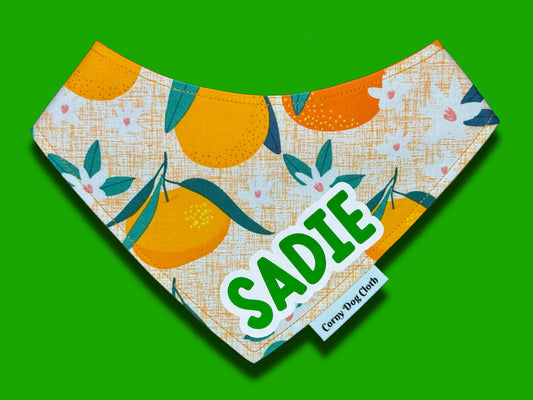Orange You Cute Custom Bandana