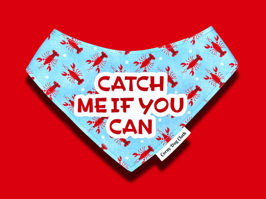 Catch Me if You Can Bandana