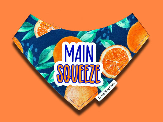 Main Squeeze Bandana