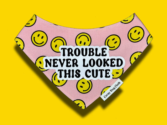 Trouble Never Looked This Cute Bandana