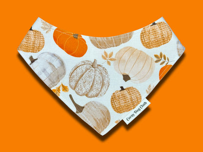 Pumpkin Tails Custom Bandana
