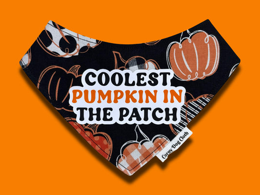 Coolest Pumpkin Bandana