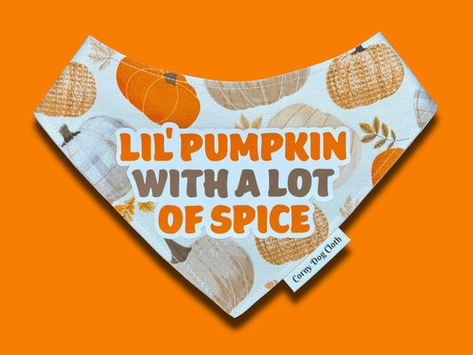 Lil' Pumpkin Bandana