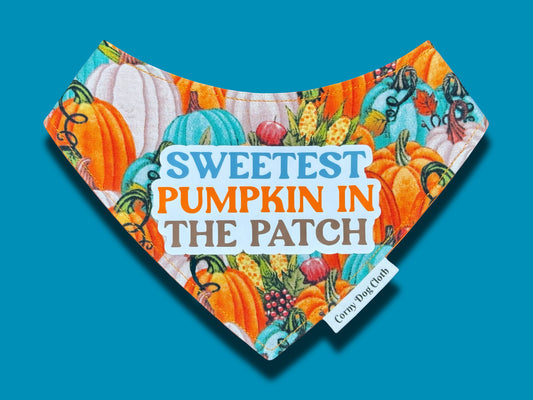 Sweetest Pumpkin Bandana