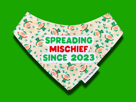 Spreading Mischief Personalized Bandana