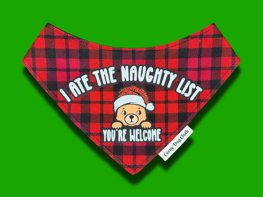 RROESR I Ate The Naughty List Bandana