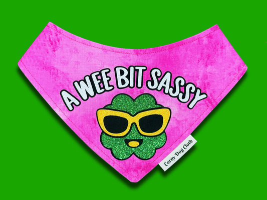 A Wee Bit Sassy Bandana