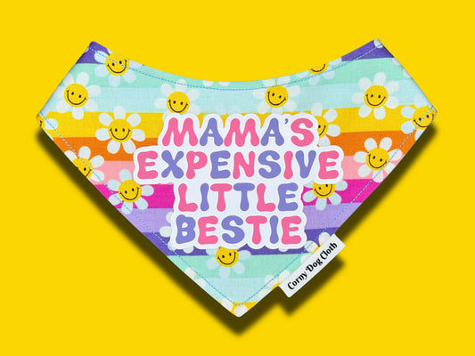 Expensive Little Bestie Bandana