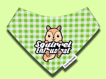 Squirrel Enthusiast Green Plaid Bandana