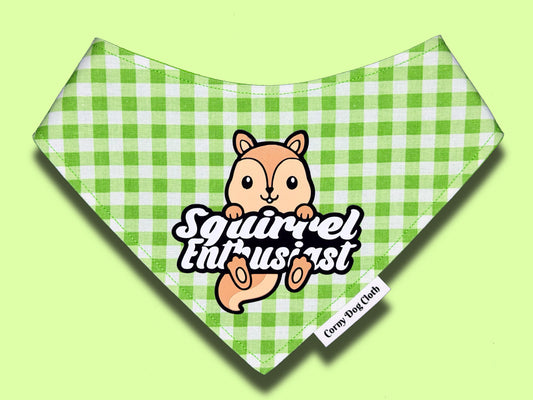 Squirrel Enthusiast Green Plaid Bandana