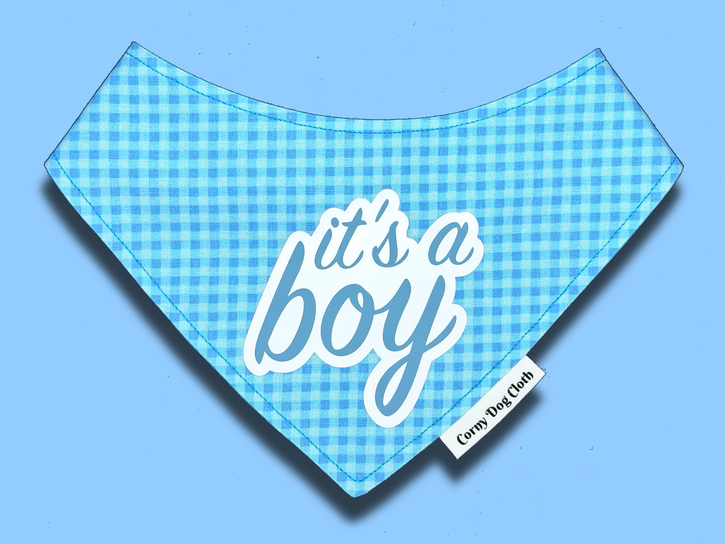 It's a Boy Bandana