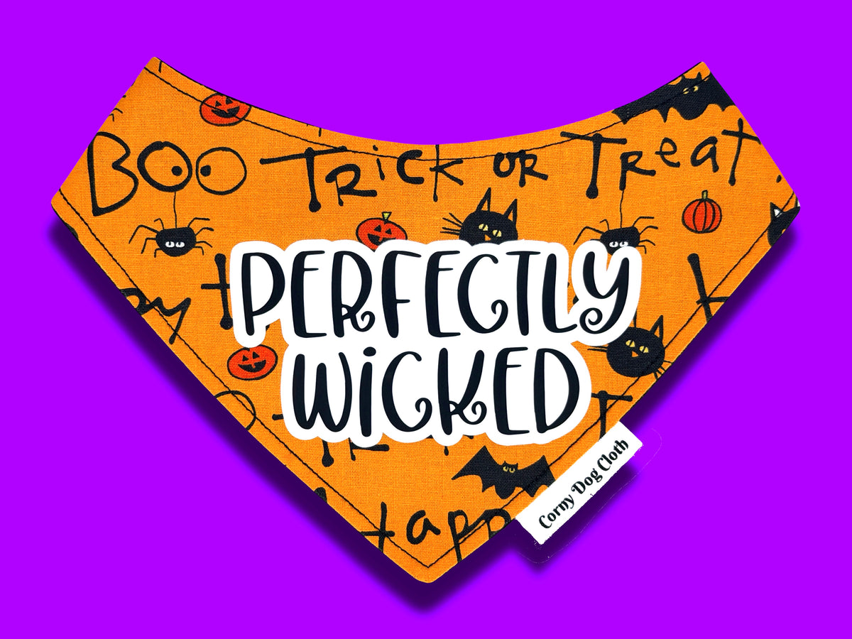 Perfectly Wicked Bandana